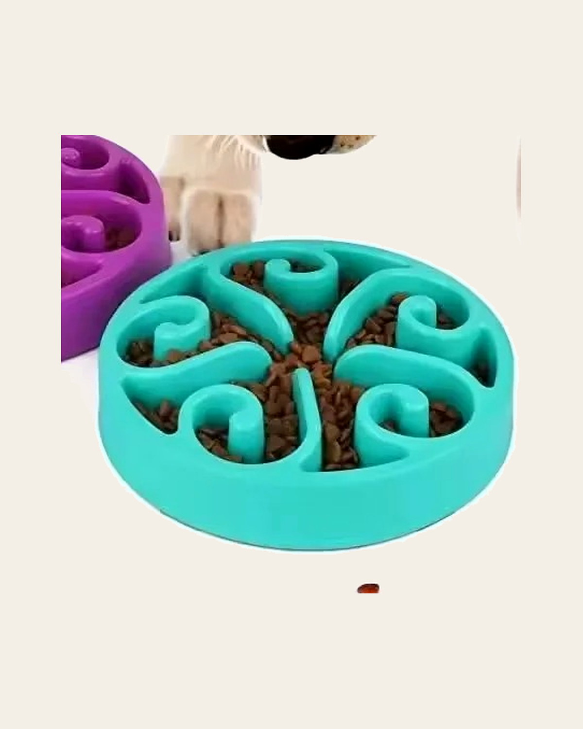 Slow Feeder Bowl
